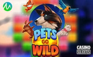 go wild casino microgaming.